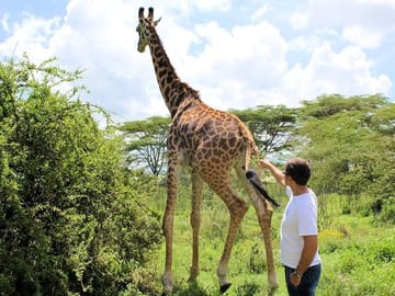 Day Tour of Lake Nakuru Park with Optional Boat Ride