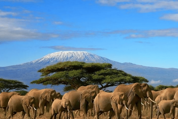 mount-kilimanjaro-snow-peak-view- from-Amboseli Park