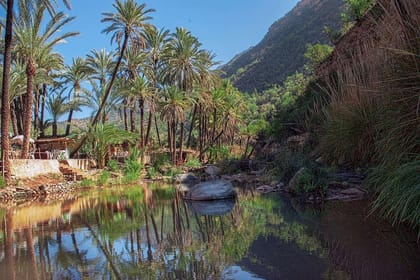 Paradise valley & Sand dunes – daily trip from Taghazoute