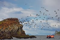 4-Day Chilean Patagonia Experience with Hotel, Tours & Meals 9