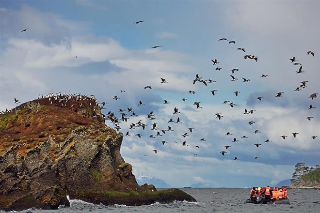 4-Day Chilean Patagonia Experience with Hotel, Tours & Meals 9