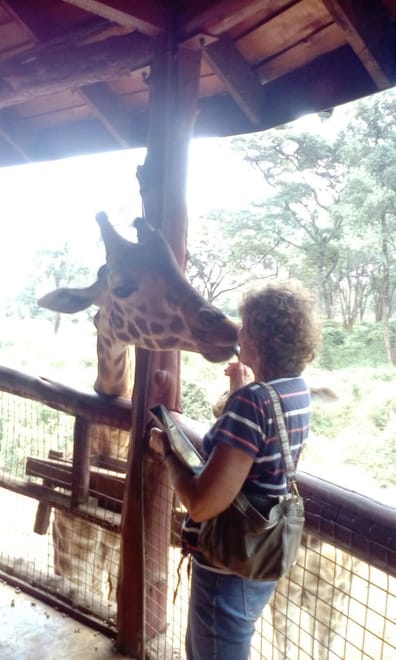 Giraffe Center Half-Day Trip from Nairobi 7
