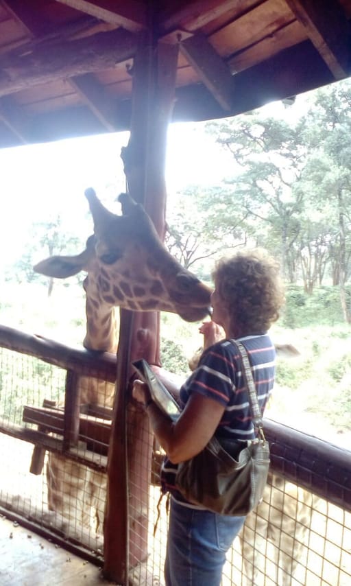 Giraffe Center Half-Day Trip from Nairobi 7