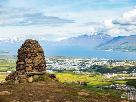 Eyjafjörður Hidden Valley Super Jeep tour from Akureyri Port, photo 4