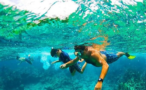 Snorkeling and Ziplining Adventure in West Bay, Honduras