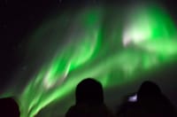Whales & Auroras 8