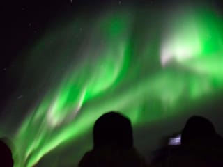 Whales & Auroras, photo 9