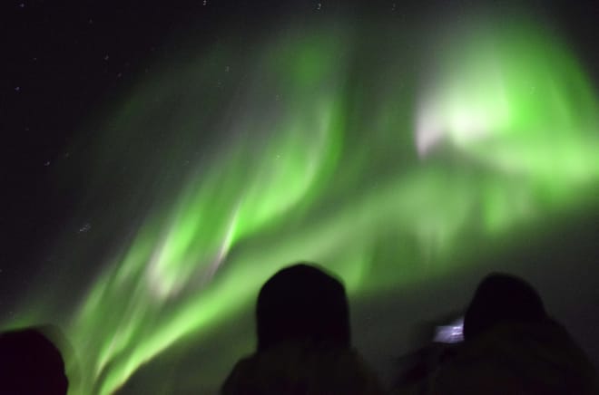 Whales & Auroras 8