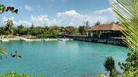Dolphin Swim Adventure at Montego Bay  8
