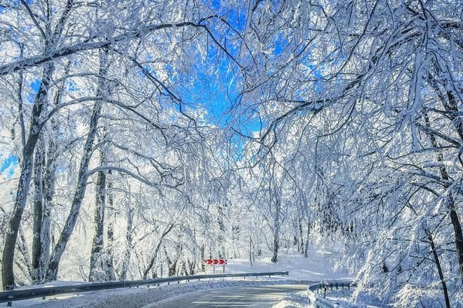 Winter Fun for Families: Sabaduri, Ananuri, Gudauri Adventure 2