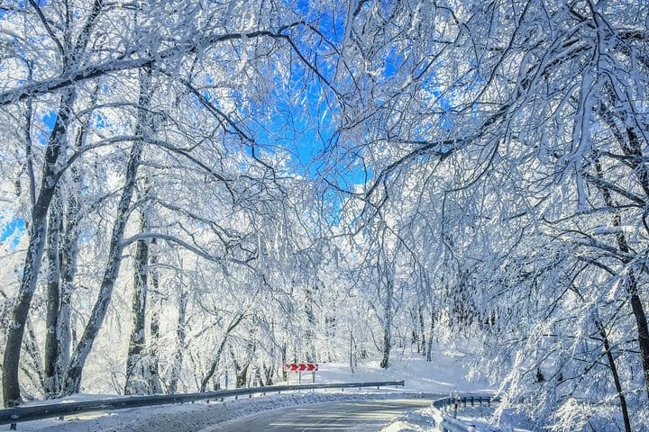 Winter Fun for Families: Sabaduri, Ananuri, Gudauri Adventure 2
