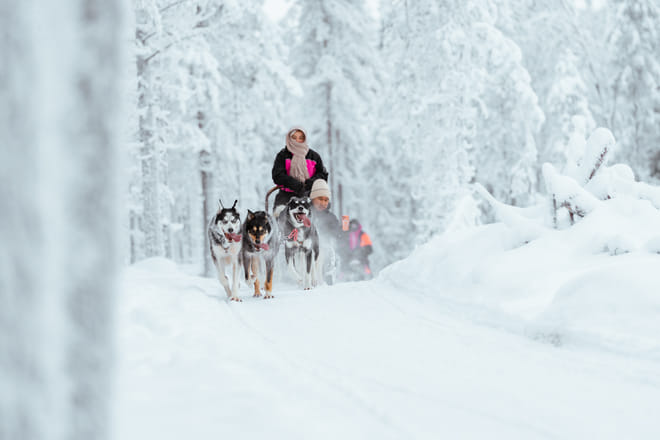 Rovaniemi: Insider 5 km Husky Self Drive Adventure