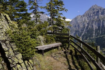 Guided Walking Tour of Grindelwald's Village and Scenic Views