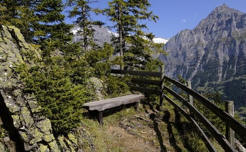Guided Walking Tour of Grindelwald's Village and Scenic Views