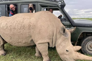 11 Days Kenya Safari Tour on 4×4 Landcruiser Jeep