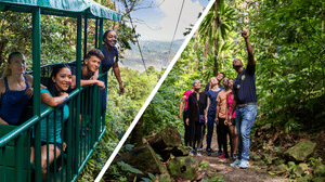St. Lucia Aerial Tram Tour at Rainforest Adventures