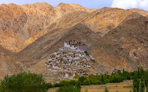 Leh Cultural and Sightseeing Tour with Hotel Transfers