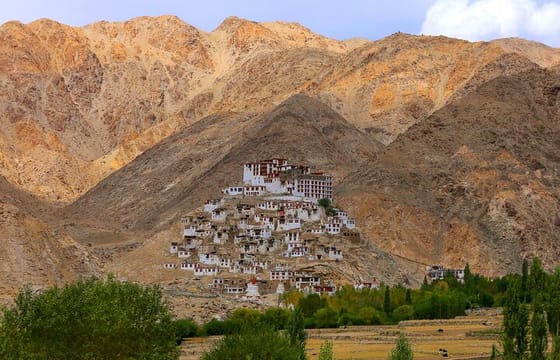 Leh- Transfers+Hotel+Sightseeing