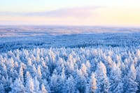 Stunning views of the snowy Taiga forest
