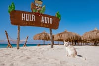 Private speed boat for Hula Hula Island with sub wing - Hurghada