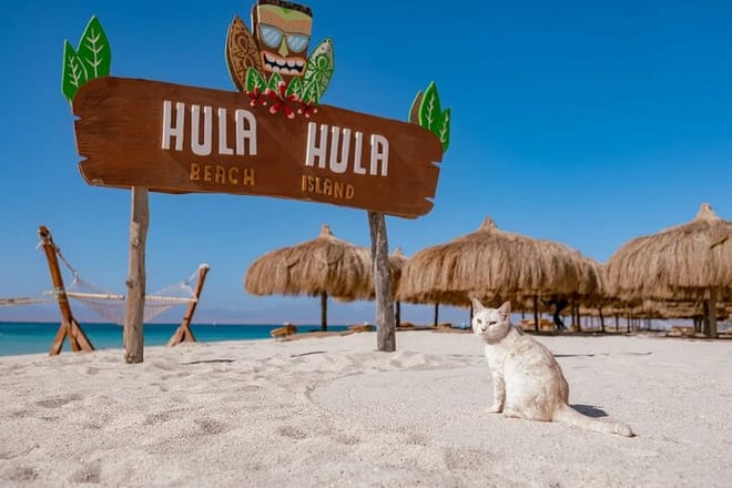 Private speed boat for Hula Hula Island with sub wing - Hurghada