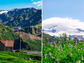 Þórsmörk Hike | Day Tour | Midgard , photo 9