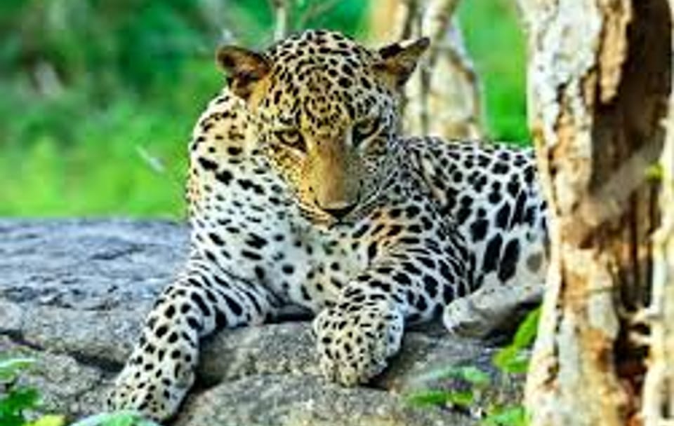 Adventure & Safari Tour