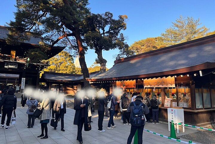 1 Hour Meiji Jingu Shrine Walking Tour in Harajuku