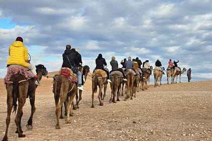 Desert Agafay: Quad bike and Moroccan dinner show with pick/up