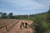 Private Wine Tour