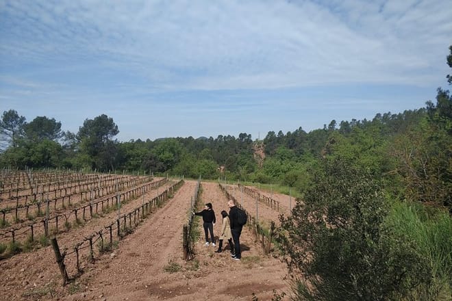 Private Wine Tour