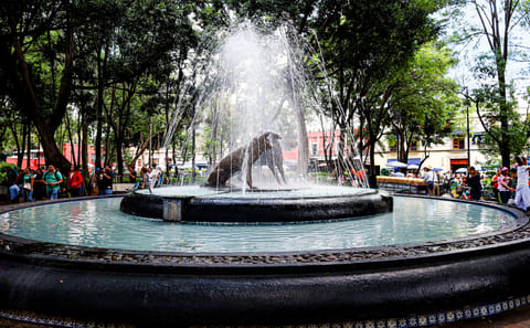 Culinary and Historical Walk in Coyoacan, Mexico City