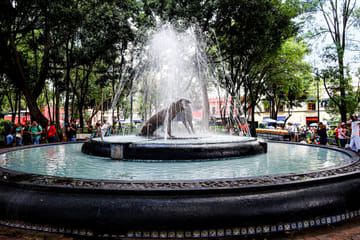 Culinary and Historical Walk in Coyoacan, Mexico City