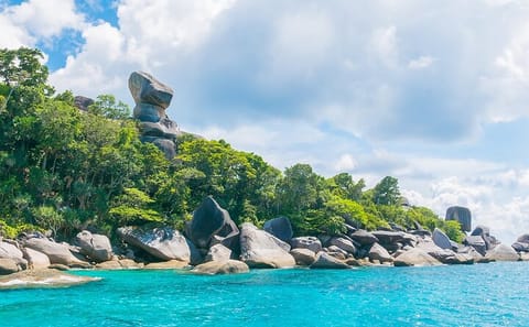 Phuket to Similan Island by Speed Catamaran Day trip