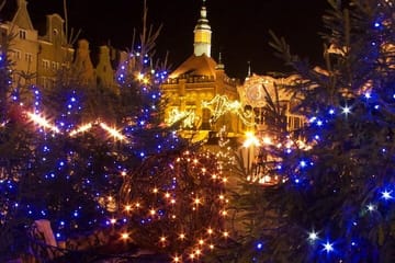 Private Walking Tour of Gdańsk Christmas Market
