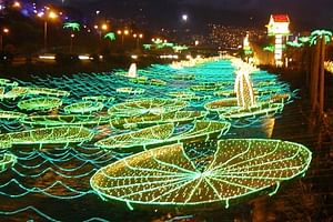 Private Christmas Lights Tour in Medellin