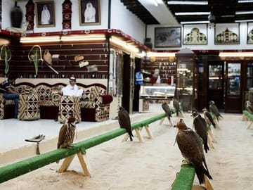Doha: Iconic Sights, Culture & Museum of Islamic Art Tour By Falcon Tours Doha-Qatar