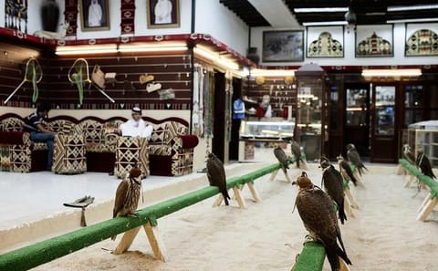 Doha City Tour: Museum of Islamic Art and Iconic Sights