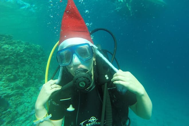 Snorkeling Sea Trip &amp; Diving Adventure with Lunch - Marsa Alam