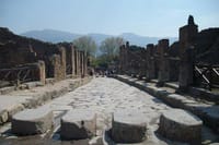 Guided Tour of Pompeii and Herculaneum with Lunch and Ticket  4