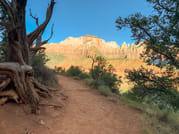 Zion Canyon National Park Private Day Tour up to 5pax 5