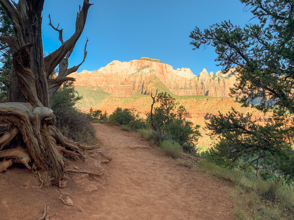 Zion Canyon National Park Private Day Tour up to 5pax 5