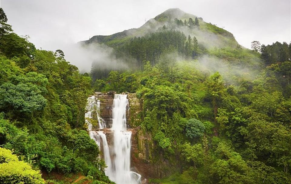 Nuwara Eliya Day Tour with Tea Factory and Botanical Gardens