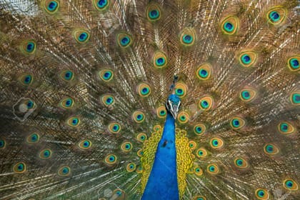 Private Day Trip to Central Zoo at Jawalakhel