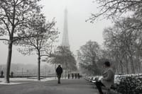 6 Hours Paris Tour with Cruise and Galleries Lafayette 7