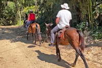 Horseback riding in the Atlantic forest BY PARATY TOURS 2
