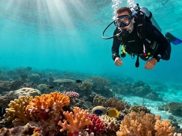 Diving Day Trip to Tiran Island from Sharm El-Sheikh