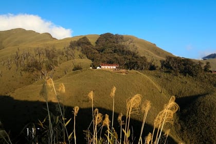 Nagaland and Manipur Tribal Communities and Nature Trails