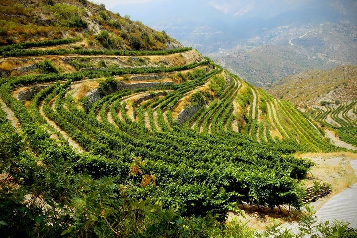 From Ayia Napa & Protaras: Troodos Grape Escape - Mountain Villages & Wineries Tour (6-7hrs)