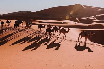 8-Day Guided Tour of Casablanca, Fes, and Marrakech